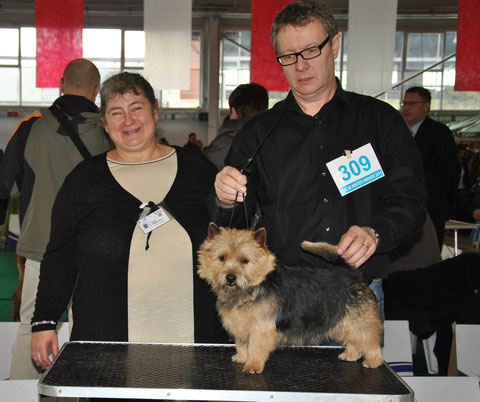 CACIB Celje 15.02.2015 Norman von den zwei Eichen, BOB 