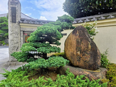 門前の松と自然石