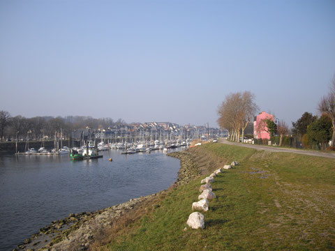 Janvier 2011