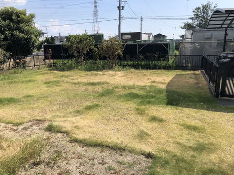 雑草　草　対策　草刈り　草取り　除草　草抜き　防草　処理　草むしり　砂利　スタンプコンクリート　デザインコンクリート　