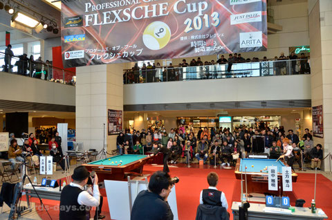 2013 FLEXSHCE CUP