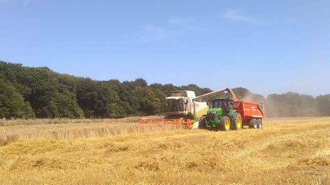 ferme de la mare moisson récolte meslay