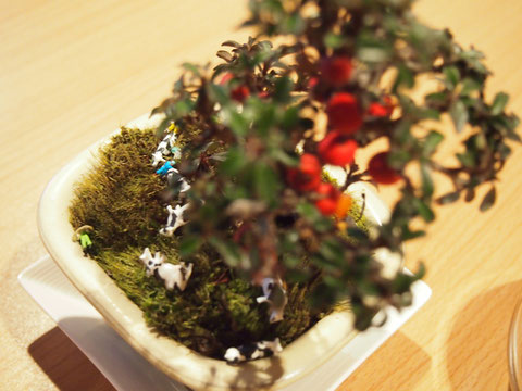 なんとも かわいい アートな盆栽^^ 嬉しいお土産です^^
