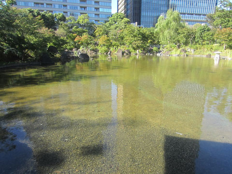 透明で色々写る。太陽のひかりを浴びた水はレンズみたいに光のパワーをためていそう^^