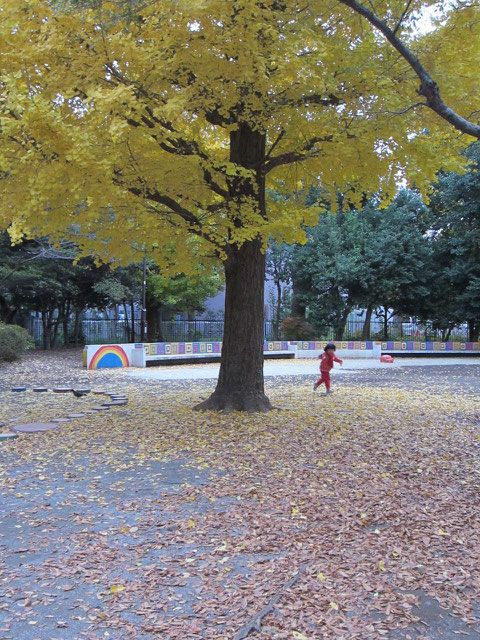 子供が遊びまわっていた。ここは豚公園^^
