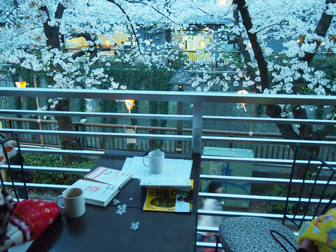 いい気持ち^^ 幸せなひと時^^・・・ときどき桜がひらひら舞って テーブルへとおりてきました^^