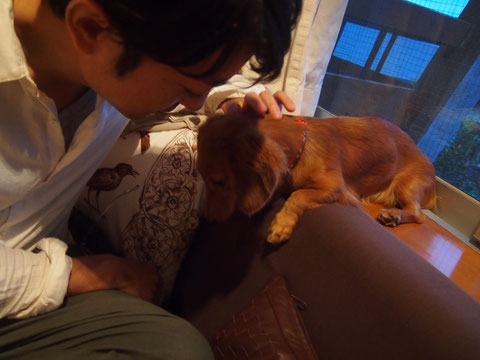 美犬さん♪ 名前はパスタちゃんという。