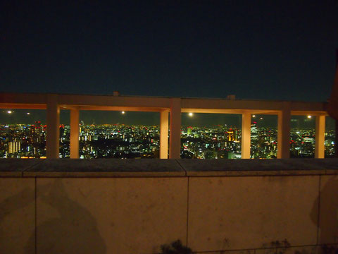 私はマンション育ちのせいか夜景よりも緑のほうが好きなのですが、この夜景は素晴らしく綺麗で感動しちゃいました^^ 夜景スポットって人が多いのが難だと思うのですが、まるで貸切りの観賞会だったのがとてもよかったのかも^^