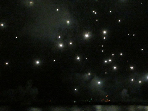 今回一番のお気に入り、あたり一面が輝く星でいっぱいになったすごい花火!わぁ!という歓声が