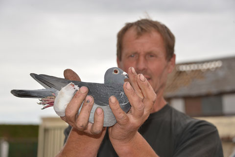 "TORNADE" 4546/18  1ere COUTRAS Fédéral sur 1.920 pigeons