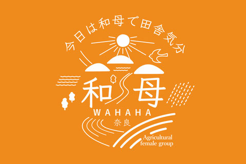和母奈良