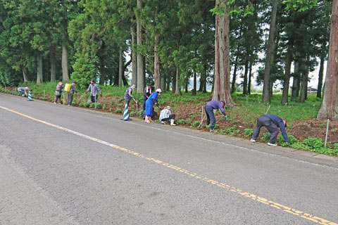 会員総出での那須神社道沿いの草取り作業