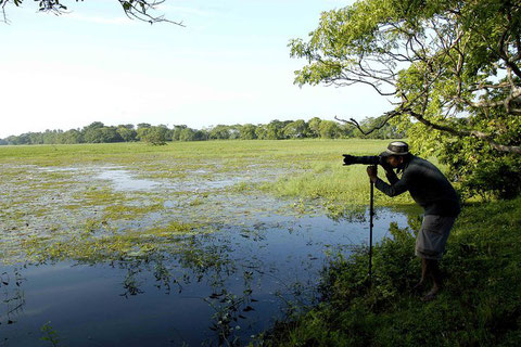 Naturfotografie