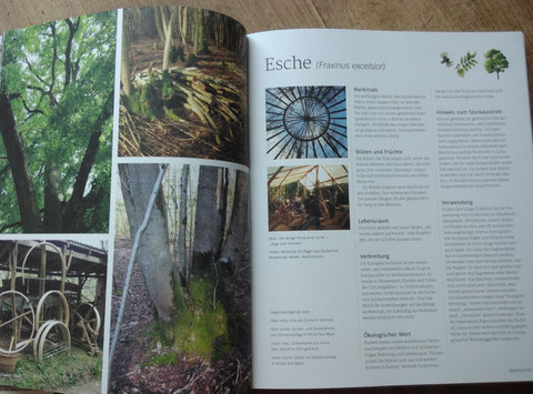 Beispielseite Waldwerk Ideenbuch