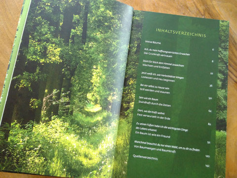 Waldgeflüster Inhaltsverzeichnis