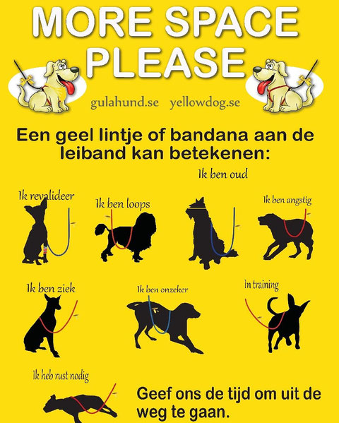 bange hond oude hond hond in opleiding angstige hond