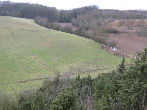Harmonie des contrastes et biodiversité