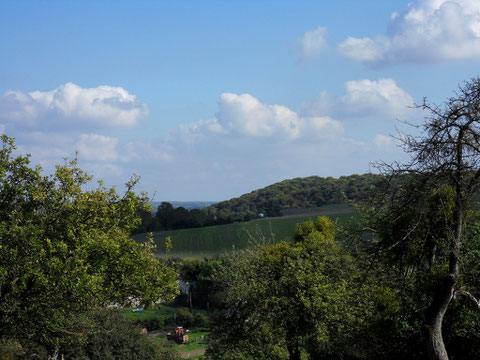 La vallée de Frosme entaille le plateau du Vimeu