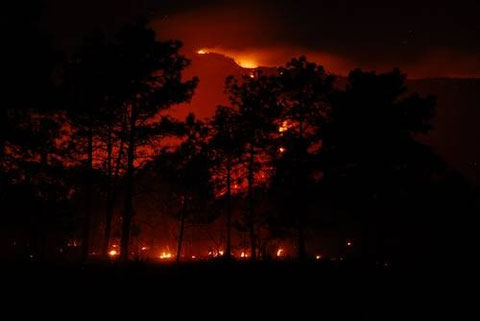 El incendio comenzó en un sitio donde no se criaba ganado. Foto: Gabriel Holschneide