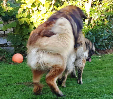 Hannes und Daisy