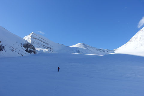 Skitour, Skihochtour, Turtmanntal, Brunegghorn, Turtmannhütte, Brunegg Gletscher