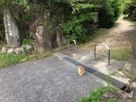FRA浴槽、傷補修塗装