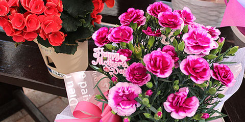 生産直売の宮子花園は、お花のギフトを全国発送するほか、敬老会等のプレゼントなどご予算に合わせてお作りします。
