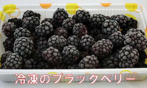 宮子花園は無農薬で育てたブラックベリーの冷凍の実を販売しています。クール便で全国発送いたします。