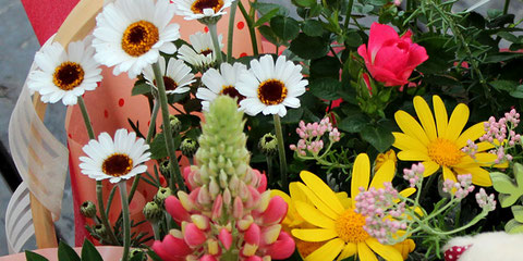 生産直売の宮子花園は、お花が好きな方に喜ばれるお花のギフトを全国発送しています。元気で新鮮なお花のギフトを四季を通じて販売しています。