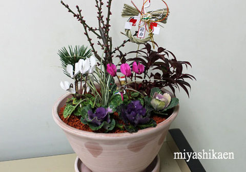 宮子花園の寄せ植え教室は、新年を豪華に彩る迎春の寄せ植えを、ご予算に合わせて容器もグレードアップします。
