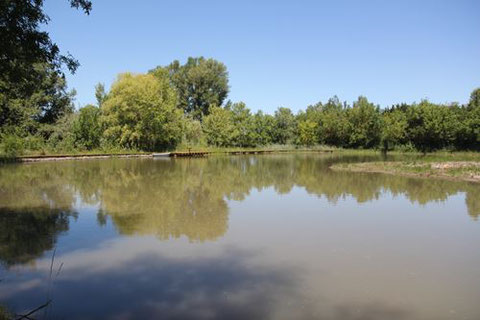 étang à Fontvieille