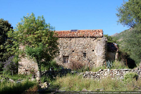 Lama ancienne chapelle romane Saint-Laurent (cl.Corse romane)