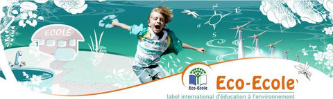 http://www.eco-ecole.org