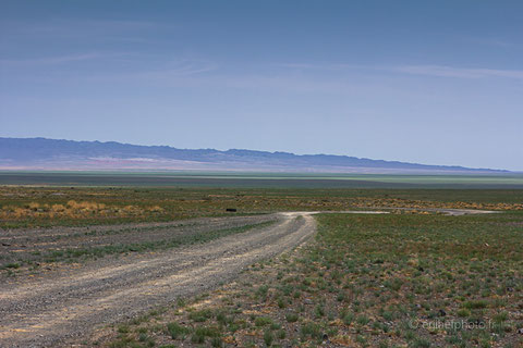 voyage, mongolie, désert de gobi, immensité, horizon, rachel jabot ferreiro
