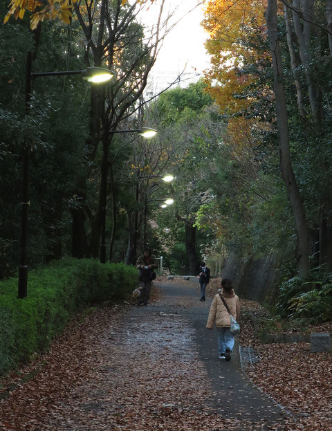 12月14日、午後4時。まだ日の入りまでは時間があるが、街灯が点灯した。まだ空は明るいが、センサーが暗さを感じたのだろう。ちょっとマグリットの世界に迷い込んだ気がした。多摩市豊ヶ丘2-3　2022.12.14