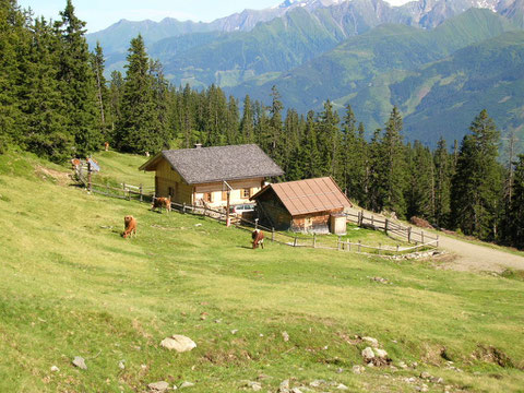 Manlitzalm,1800 m, ca 2- 3 Std.