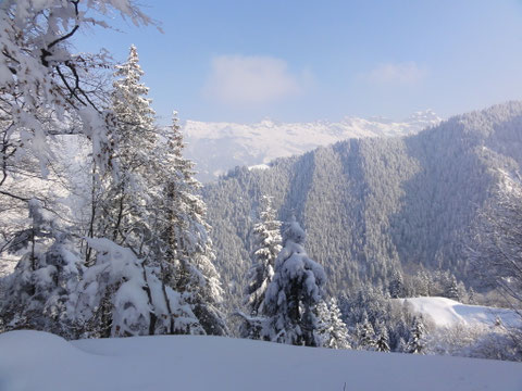 Durchwanderung fast unberührter Natuer  Haldi bei Schattdorf