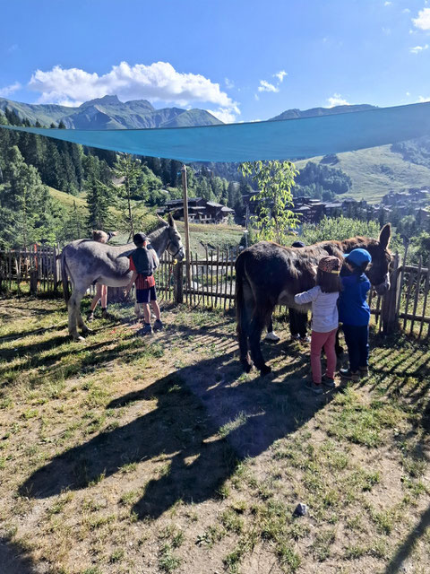 experience insolite savoie