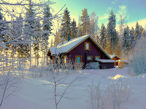 Winter Ferienhaus Finnland See