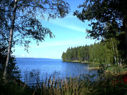 Große Bucht mit glasklarem Trinkwasser vor dem Ferienhaus. Blick Richtung Päijänne Hauptsee.
