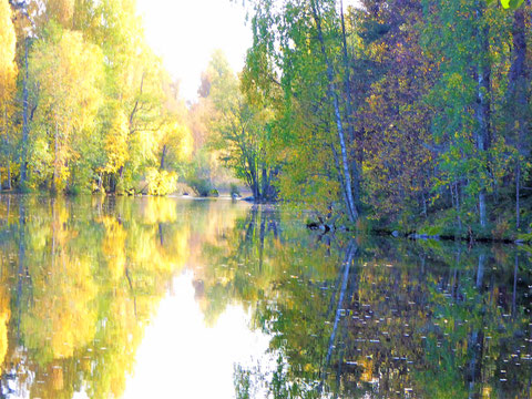 Erleben Sie bei Ihren herbstlichen Wanderungen den Wechsel von geheimnisvollen Nebeln, Sonne und Schatten in goldenem Licht und rotbelaubten Wäldern am See.