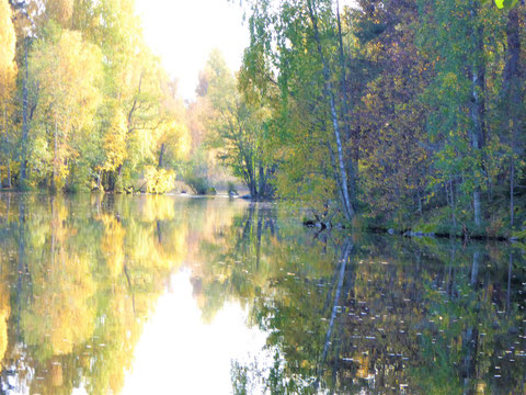 Herbst Finnland Wald See