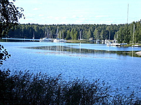 Angeln Sie von der Brücke aus, die zu unserem Haus führt oder seitlich am Schilf, mit dem Blick auf den kleinen Segelbootshafen am gegenüberliegenden Ufer. Besonders schön ist dieser Platz in der Abendsonne.