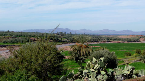 Un mélange de verdure Marocaine