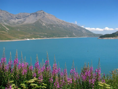 The Moncenisio Hill