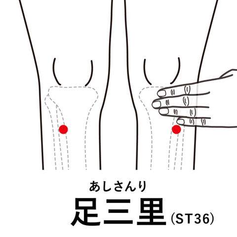 足三里(あしさんり)