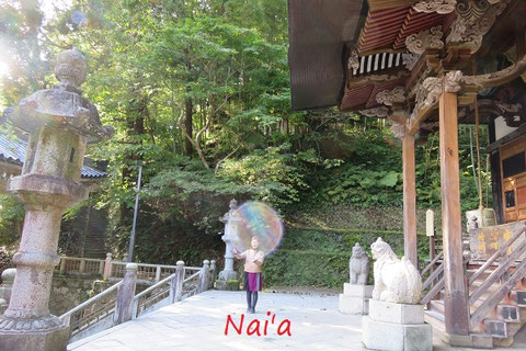 虹色オーブ,紫オーブ,緑オーブ,オーブ意味,四国開運パワースポット,名護市スピリチュアル