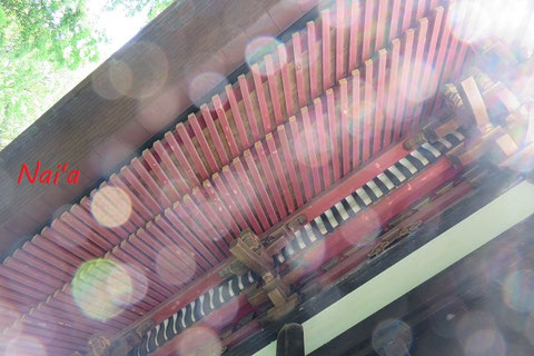 東北スピリチュアル,盛岡乳児院,岩手乳児院,遠野整体,花巻ヒーリング