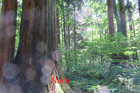 三重県スピリチュアルヒーラー,豊田市占い,伊勢市占い,津市ヒーリング整体