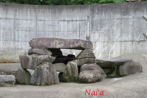 沖縄県糸満市占い,名護市スピリチュアル,伊良部島スピリチュアル,宮古島パワースポット